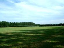 自由詩人！松尾多聞のブログ