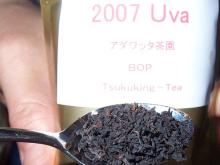Uva