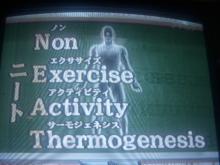 にゃーのダイエット日記