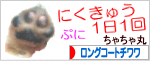 
にほんブログ村 犬ブログ ロングコートチワワへ
