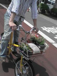 花を買いに行く②