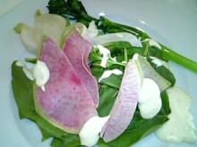 有機野菜サラダ