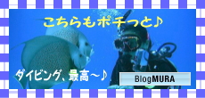 ブログランキング・にほんブログ村へ