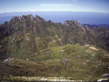 Olde Village Lanterne