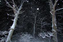 自由詩人！多聞のぐうたらブログ