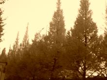 200612061600000.jpg