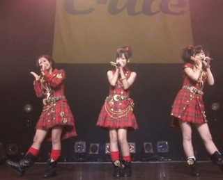 可憐麗人のブログ