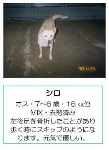 ★ワンとの想い出★と共に「殺処分０」を目指します-kaga-07