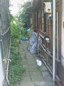 菅澤美月 つにてんてん♪ サムネイル画像