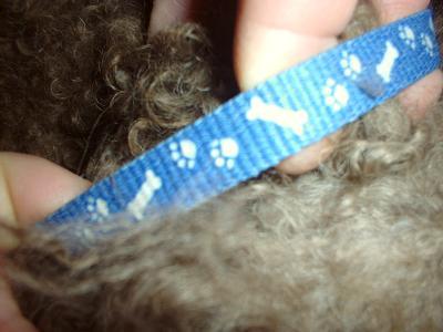 １１月２５日南区