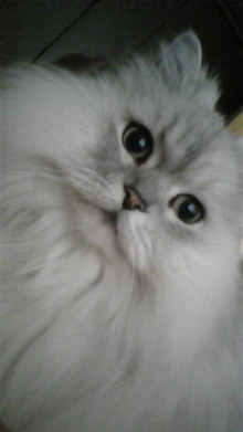 菅澤美月 つにてんてん♪ サムネイル画像