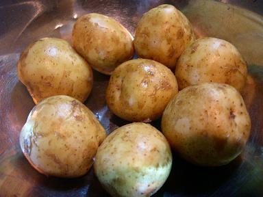 ソース職人の日記