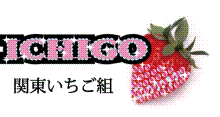 関東いちご組