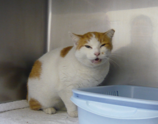 ずれずれブログ