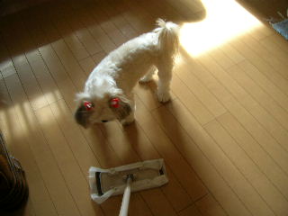 晴天なのde忙し忙し