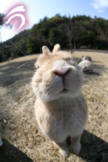 きょうのボス
