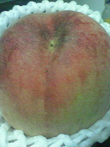 菅澤美月 つにてんてん♪ サムネイル画像