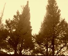 200612061601000.jpg