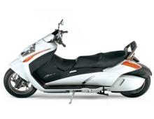 スズキ「ジェンマ」