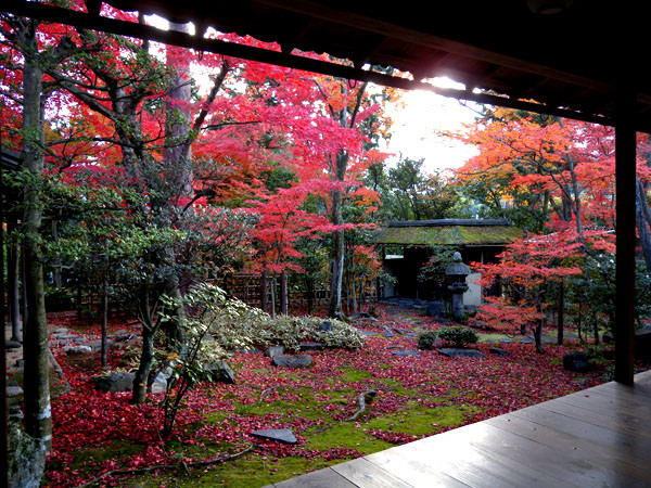 西陣に住んでます-妙心寺大法院