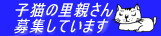 里親募集