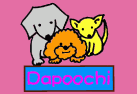 - Chicchi - ペットグッズ＆カフェ-Dapoochi