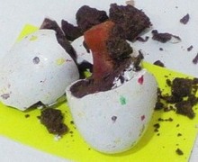 菅澤美月 つにてんてん♪ サムネイル画像