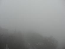 たまねぎさんのブログ