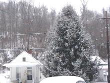 Miyavizim08のブログ-Winter came Late II