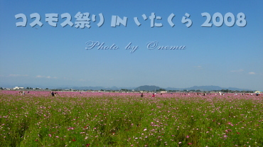 Jell&#39;s Whimsical Blog