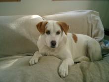 命に幸せを-こぽこちゃん01