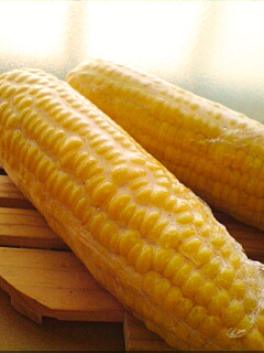 雑食生活Laboratry