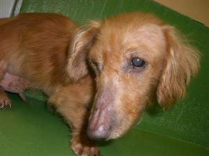 １１月２７日高津区