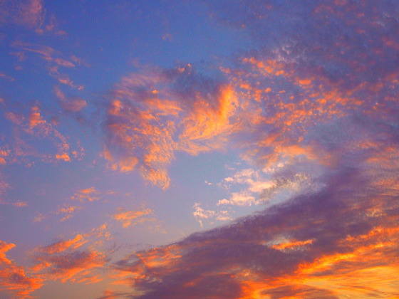 タイトル未設定