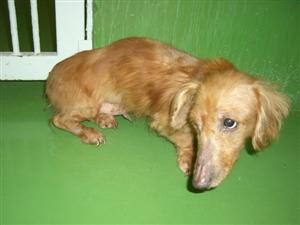 １１月２７日高津区