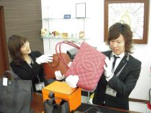 エコリングの愉快な仲間たちのブログ