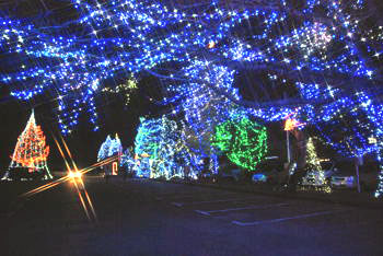 茨城県　行方市商工会 （なめがたししょうこうかい）-photo1