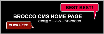 ＣＭＳホームページ　ブロッコ