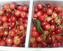 200707011918000.jpg