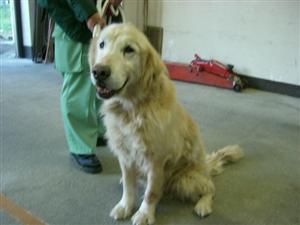 １１月２６日宮前区