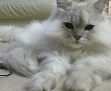 菅澤美月 つにてんてん♪ サムネイル画像