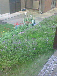 菅澤美月 つにてんてん♪ サムネイル画像