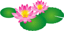 蓮④