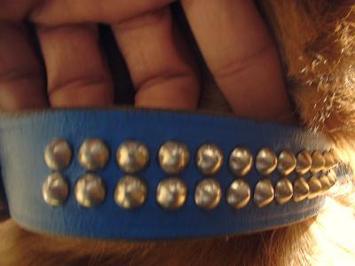 １１月２５日瀬谷区