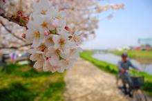 自由詩人！松尾多聞のブログ