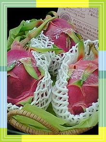 菅澤美月 つにてんてん♪ サムネイル画像