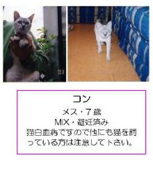 ★ワンとの想い出★と共に「殺処分０」を目指します-kaga-018