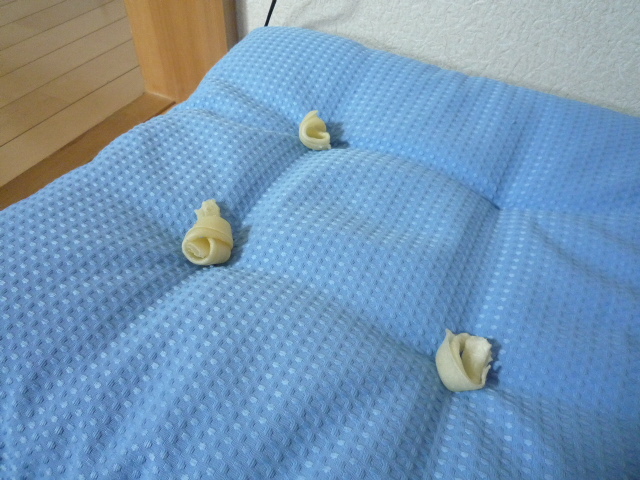 もらったんdaもんもん