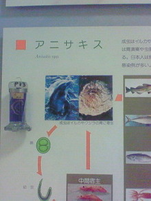 菅澤美月 つにてんてん♪ サムネイル画像