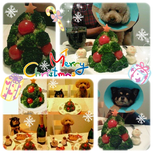 chanmaro-cafe♪in yokohama